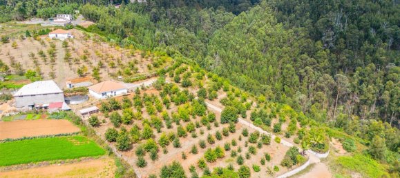  Land in Calheta, Portugal No. 109593 18