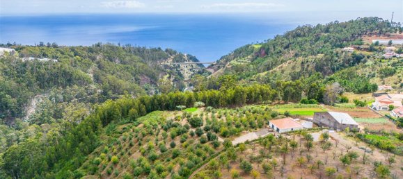  Land in Calheta, Portugal No. 109593 6