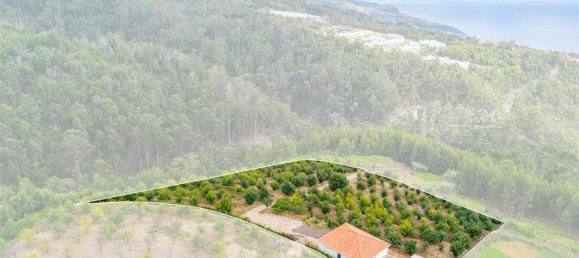  Land in Calheta, Portugal No. 109593 13