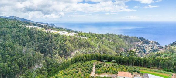  Land in Calheta, Portugal No. 109593 10