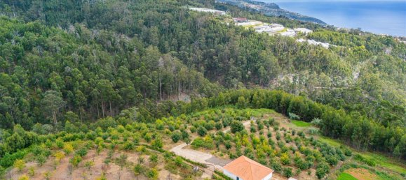  Land in Calheta, Portugal No. 109593 12