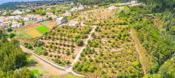  Land in Calheta, Portugal No. 109593 20