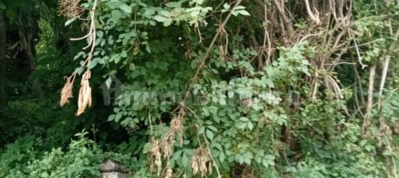 3 bedrooms House in Calestano, Italy No. 314861 3