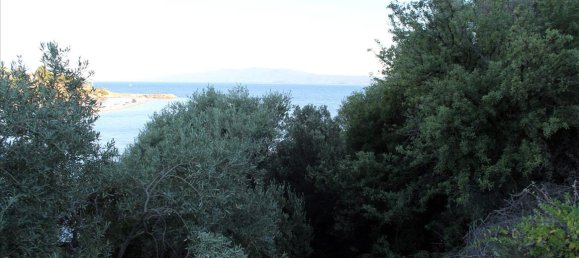 10300m² Hotel in Chalkidiki, Greece No. 7685 7