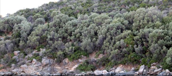 10300m² Hotel in Chalkidiki, Greece No. 7685 3