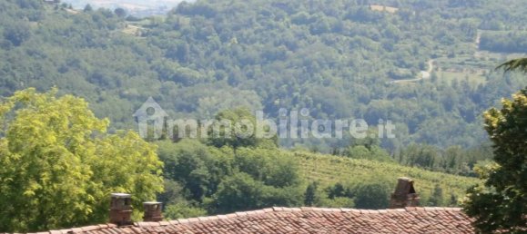 16 Schlafzimmer Haus in Passerano Marmorito, Italy, Nr. 346512 7