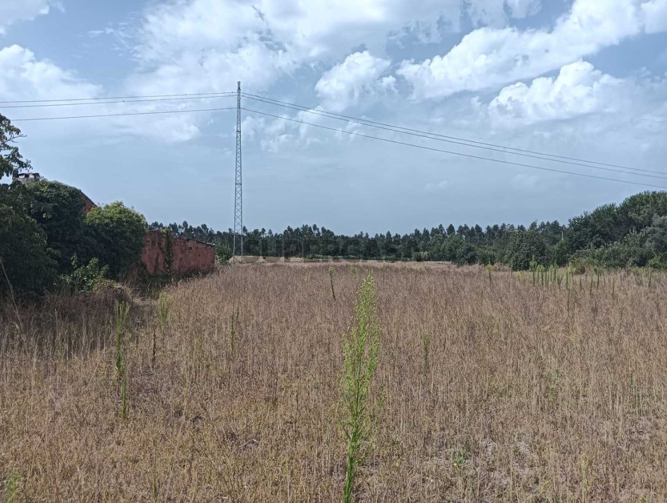 Grundstück in Ouca, Portugal, Nr. 269202