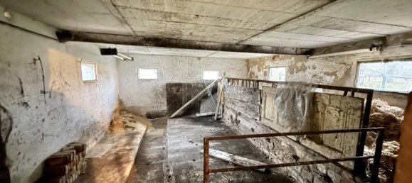 Casa de 4 habitaciónes en Oberhavel, Germany No. 40305 10