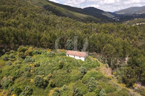 Дом с 4 спальнями в Порталегри, Португалия № 354868