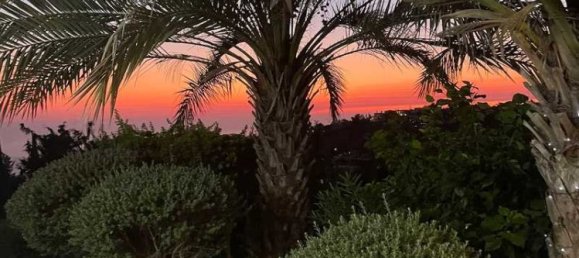 3 bedrooms Villa in Tala, Cyprus No. 19881 13