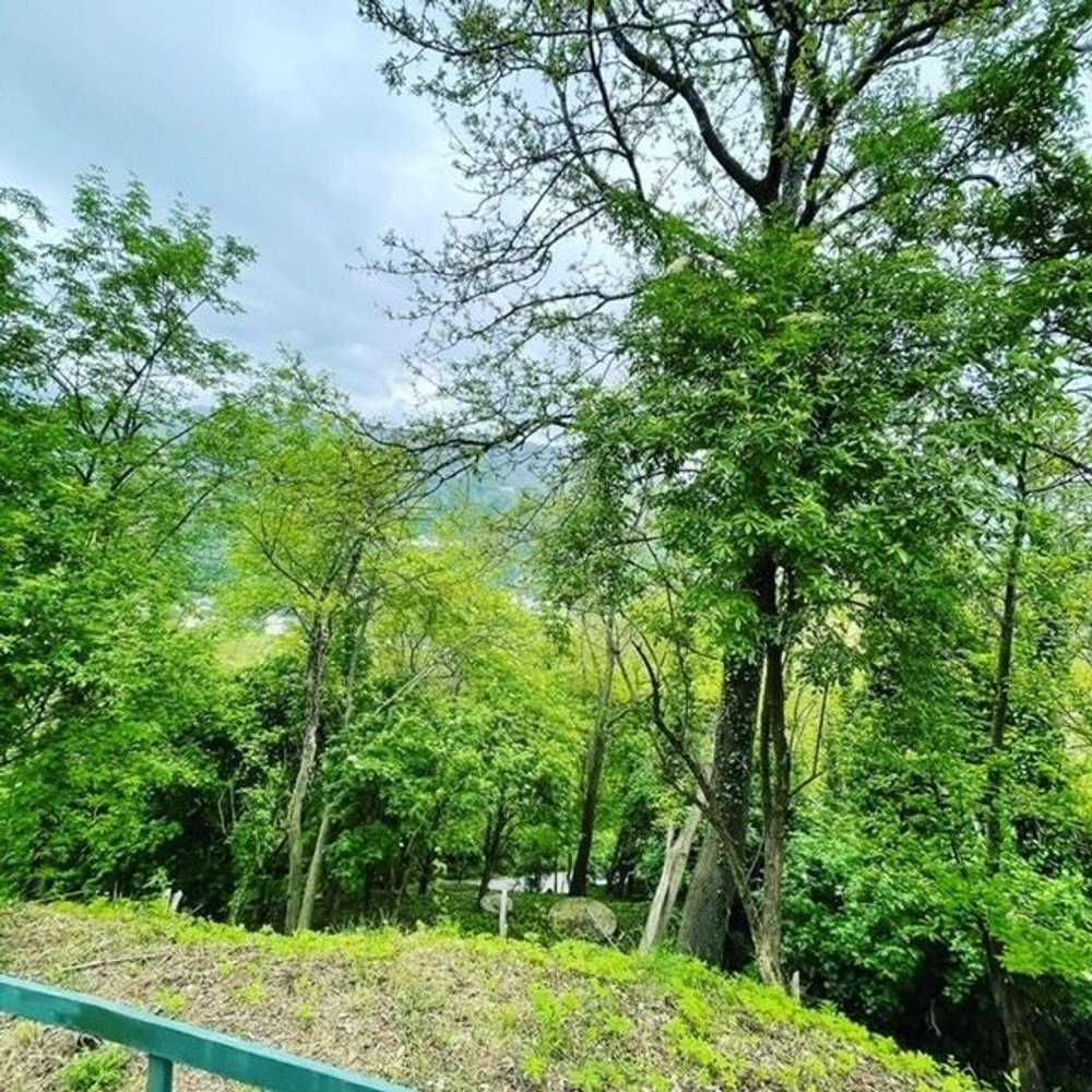 2-Zimmer Wohnung in San Colombano Certenoli, Italy, Nr. 168560