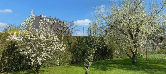 7-salle Maison à Mecklenburgische Seenplatte, Germany No. 131271 39