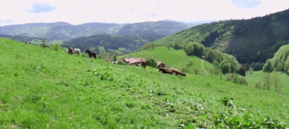 7غرفة مزرعة في Lorrach, Germany رقم 276839 2