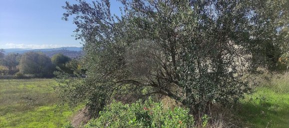 3 Schlafzimmer Haus in Belmonte, Portugal, Nr. 42393 36