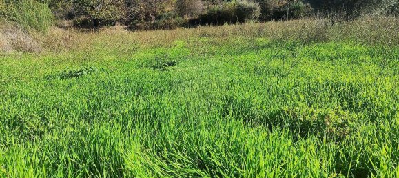 3 Schlafzimmer Haus in Belmonte, Portugal, Nr. 42393 34