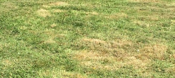 Terreno em Seine-Maritime, France 617 m² N.º 357146 2