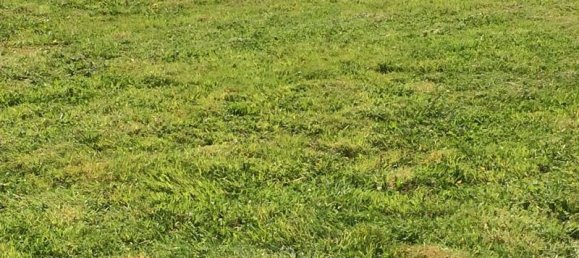 Terreno em Seine-Maritime, France 617 m² N.º 357146 4