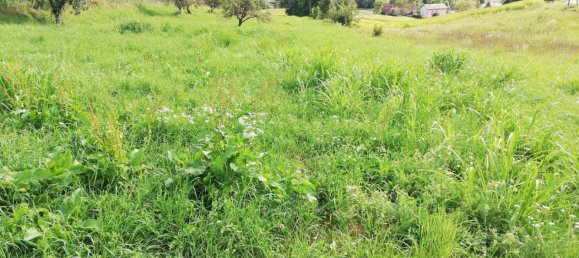 قطعة أرض في Gamlitz, Austria رقم 75690 8