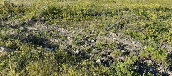 Terreno em Pachino, Italy 7660 m² N.º 84713 7