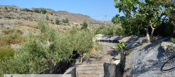 3 Schlafzimmer Haus in Almeria, Spain, Nr. 149538 31