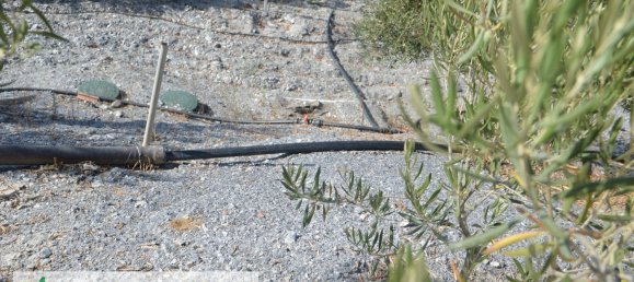 3 Schlafzimmer Haus in Almeria, Spain, Nr. 149538 28