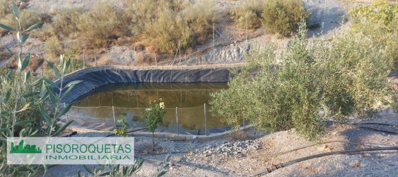 3 Schlafzimmer Haus in Almeria, Spain, Nr. 149538 19