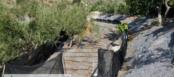 3 Schlafzimmer Haus in Almeria, Spain, Nr. 149538 30