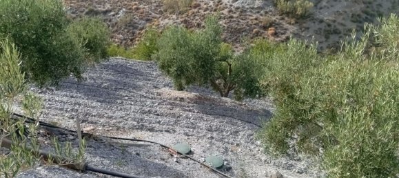 3 Schlafzimmer Haus in Almeria, Spain, Nr. 149538 17