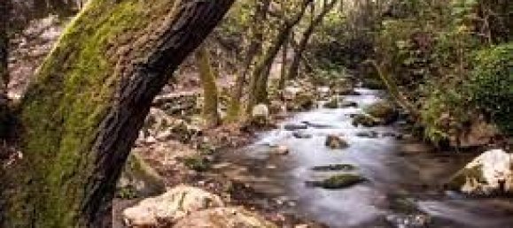 3 chambres Maison à Cadiz, Spain No. 191454 2