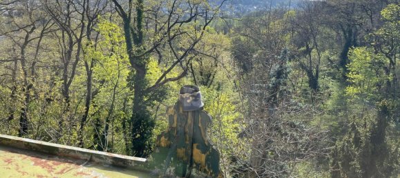 11غرفة فيلا في Dobling, Austria رقم 206377 2