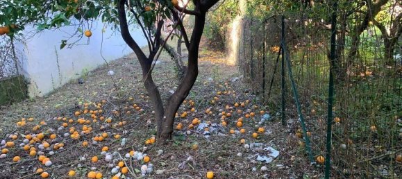 Дом с 6 комнатами в Паче дель Мела, Италия № 153924 5