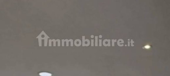 1 room Commercial property in Lugo, Italy No. 15706 8