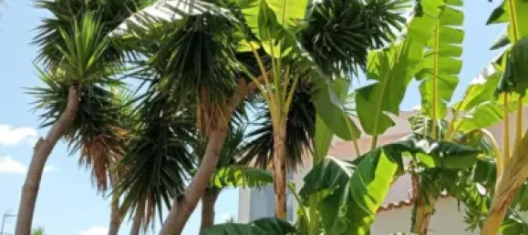 Дом с 4 спальнями в Ла-Побла-де-Вальбона, Испания № 174193 22