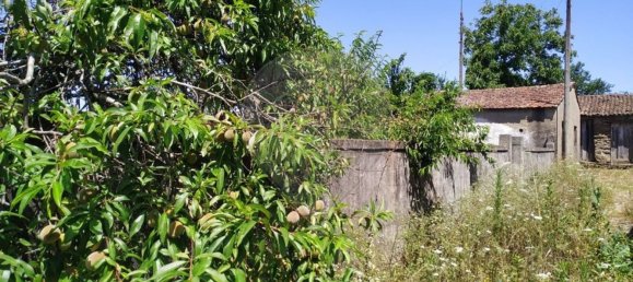 1 bedroom House in Aguda, Portugal No. 21332 6