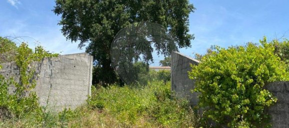 1 bedroom House in Aguda, Portugal No. 21332 14