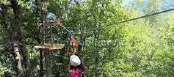 5-salle Hôtel à Canistro, Italy No. 255782 9