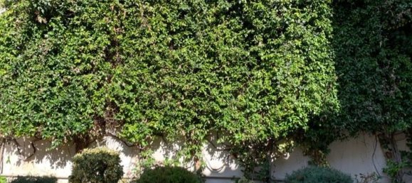 Villa T2 em Sykamino, Greece N.º 4210 12