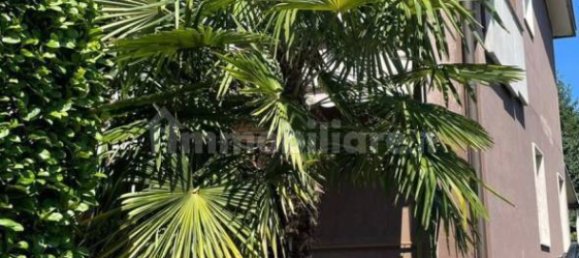 5 غرف نوم فيلا في Lissone, Italy رقم 314918 3