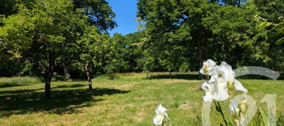 2 Schlafzimmer Haus in Mers-sur-Indre, France, Nr. 161243 3