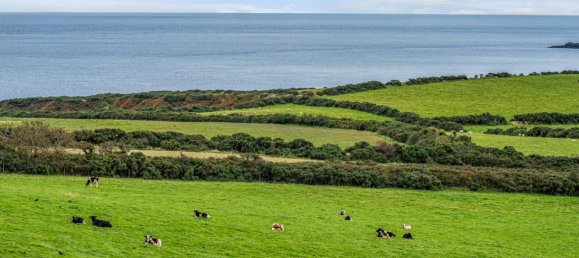 6 bedrooms House No. 12998 23