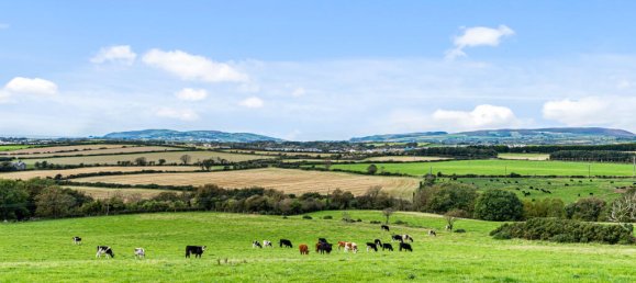 6 bedrooms House No. 12998 22