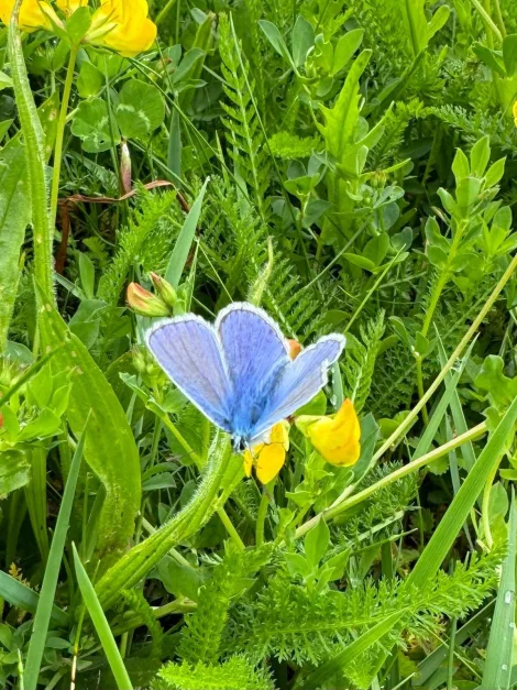  Land in Augsburg, Germany No. 266500