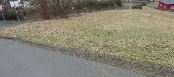  Land in Vulkaneifel, Germany No. 202352 3