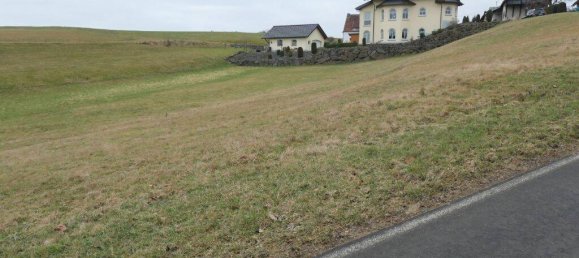  Land in Vulkaneifel, Germany No. 202352 2