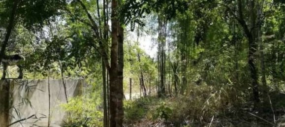  Commercial property in Mae Taeng, Thailand No. 25132 4