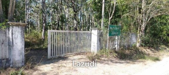  Commercial property in Mae Taeng, Thailand No. 25132 7