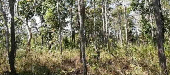  Commercial property in Mae Taeng, Thailand No. 25132 6