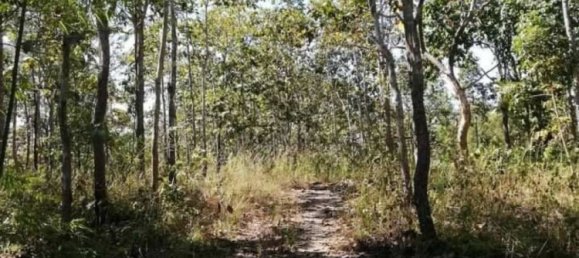  Commercial property in Mae Taeng, Thailand No. 25132 5