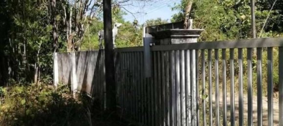  Commercial property in Mae Taeng, Thailand No. 25132 2