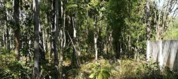  Commercial property in Mae Taeng, Thailand No. 25132 3